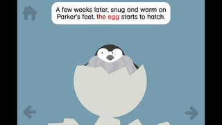 Rounds: Parker Penguin screenshot 4