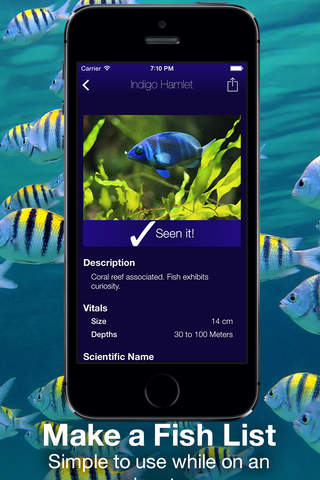 Fishlist: Caribbean - náhled