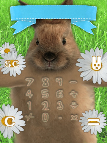 Kitten Calculator screenshot 9