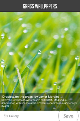 Grass Wallpapers - náhled