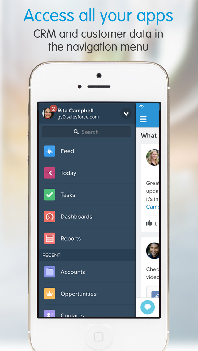 Salesforce image #1
