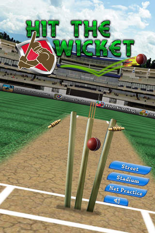 Hit The Wicket - náhled