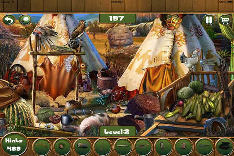 Hidden Objects: Dark Side of the Forest - náhled