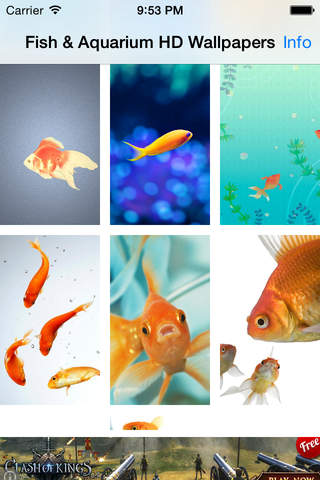 Aquarium Wallpapers-Fish Walls - náhled