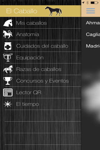 El Caballo - náhled