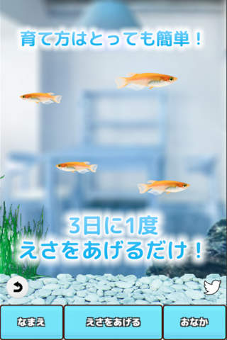 Killifish Aquarium Free - náhled
