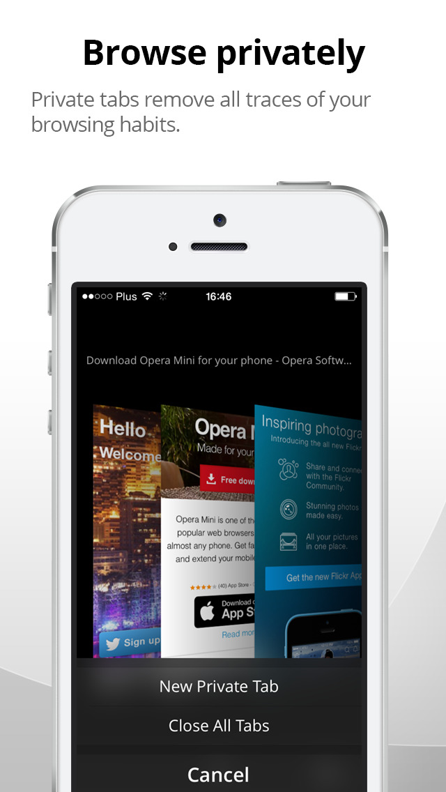 Opera Mini web browser screenshot 3