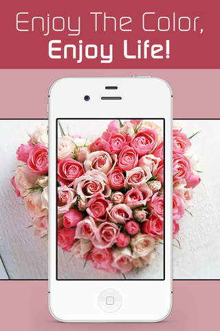 Love Wallpapers HD, Romantic Backgrounds & Valenti - náhled