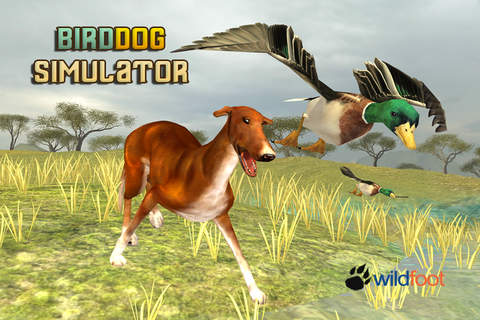 Bird Dog Chase Simulator - náhled