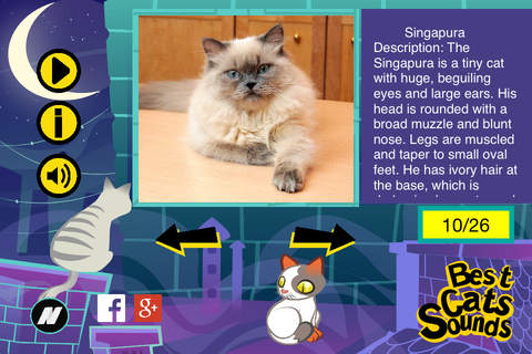 The Best Cats Sounds - náhled