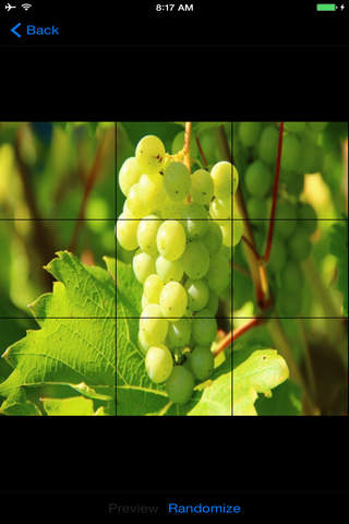 Free Fruits Jigsaw Puzzles - náhled