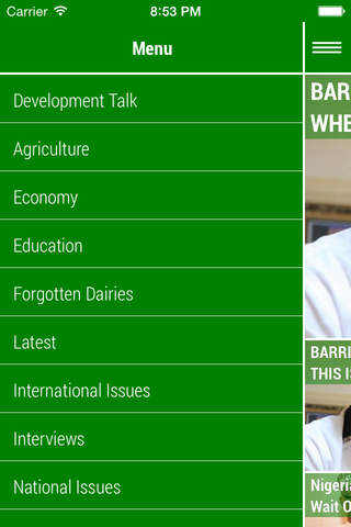 OpinionNigeria - náhled