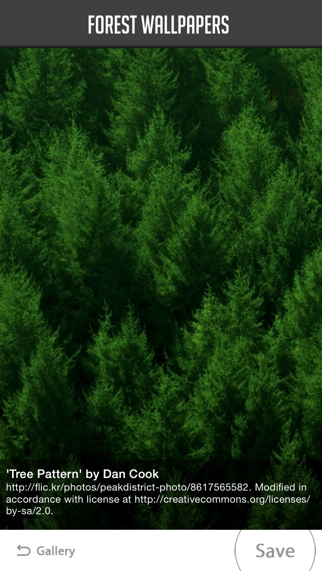 Forest Wallpapers screenshot 3