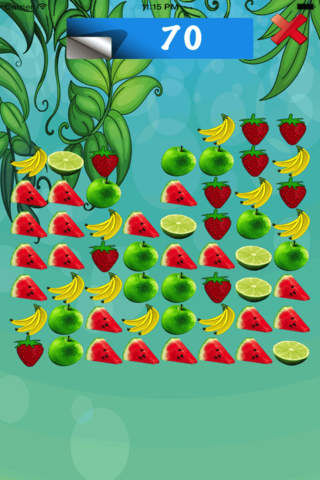 Fruit Match Galore - The Fruit Matching Puzzle - náhled
