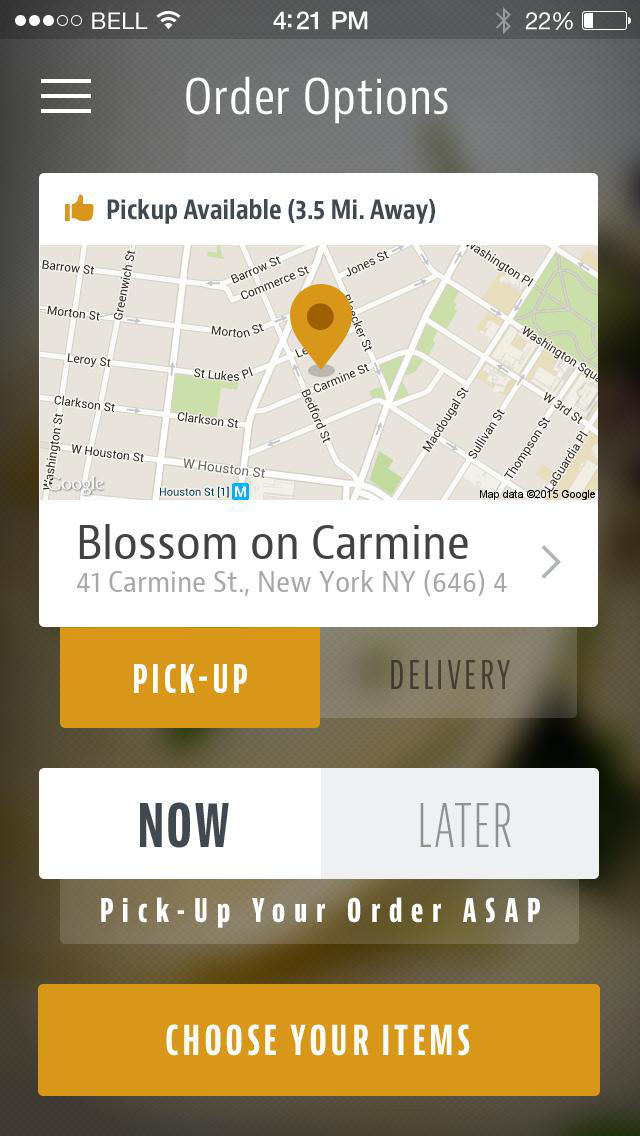 Blossom Vegan Restaurant screenshot 2