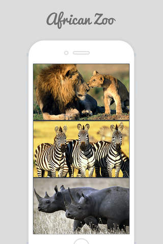 African Zoo - náhled