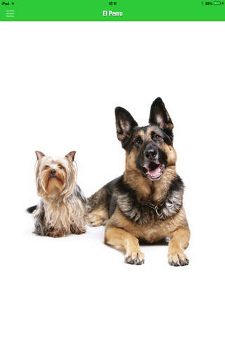 El Perro - náhled