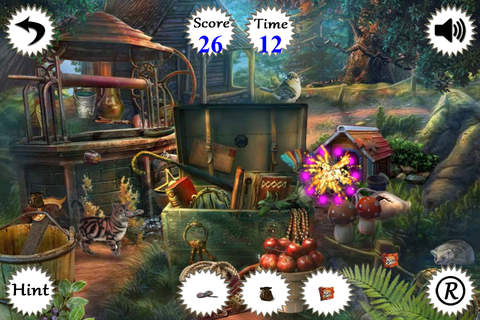 Find Hide Objects - náhled