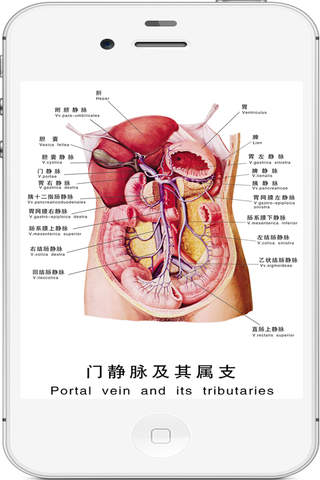 download 全套人体解剖 iphone ipad ios