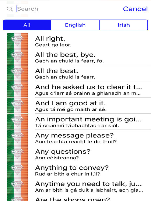 Irish Phrases Diamond 4K Edition screenshot 4