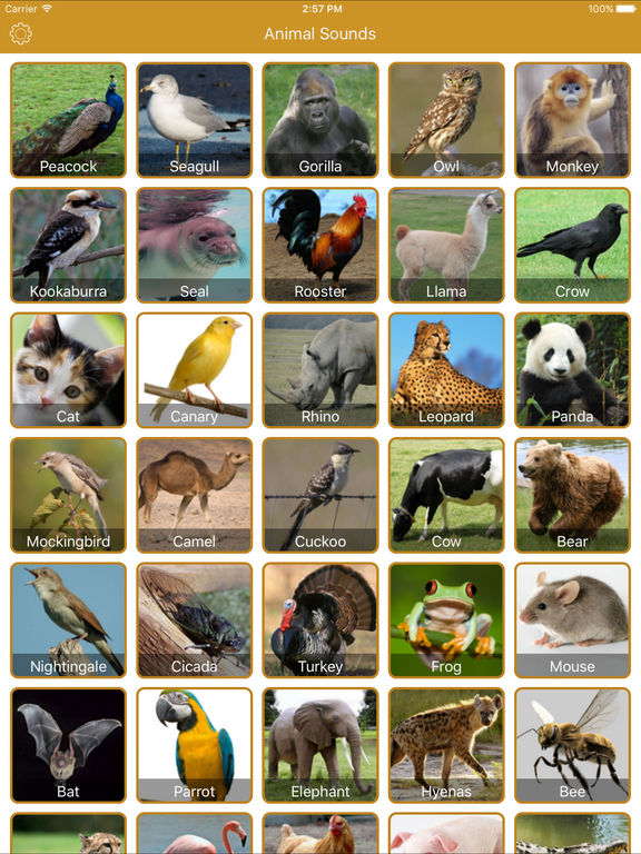 Animal Sounds - New Voice Effects | Apps | 148Apps