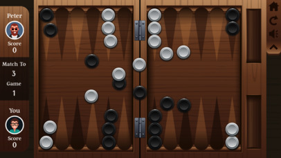 Backgammon ® screenshot 1