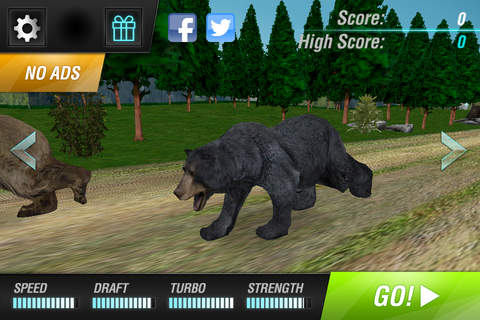 Bear Simulator 2016 . Wild Bears Simulation Games  - náhled