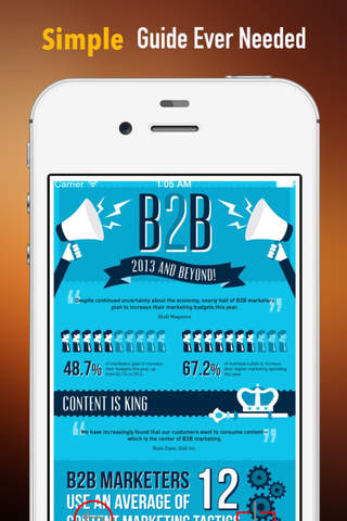 B2B Online Marketing:Marketing Tips and Social Med - náhled