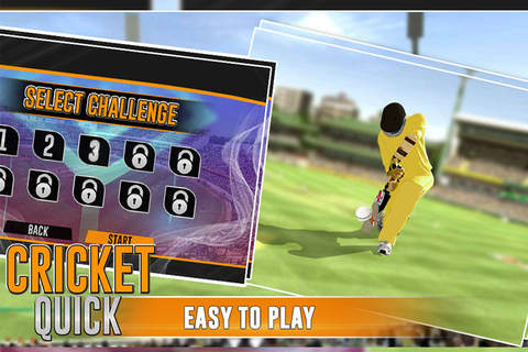 Quick Cricket 3D - náhled