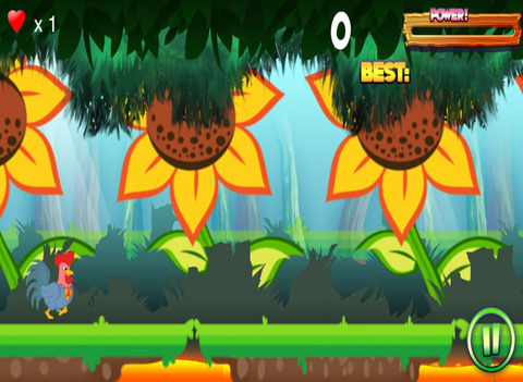 Rooster Run - náhled