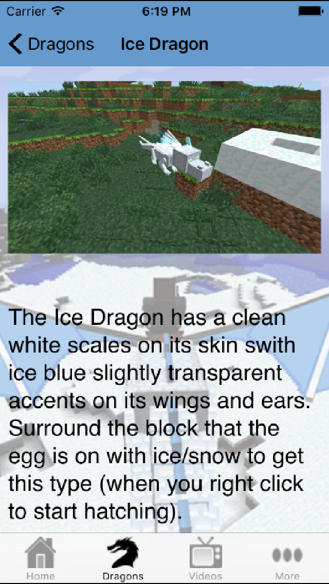 Dragons Mod Guide for Minecraft PC screenshot 4
