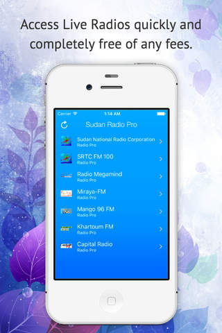 Sudan Radio Pro - náhled