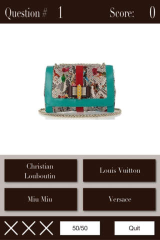 Name The Designer - Handbags FREE - náhled