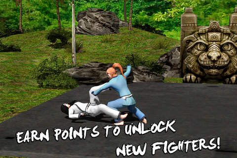 Karate Do Fighting Tiger 3D - náhled