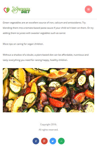 Vegan Diet Plan - náhled