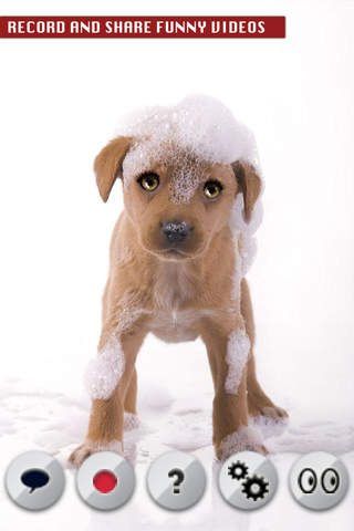 Talking Pup - náhled
