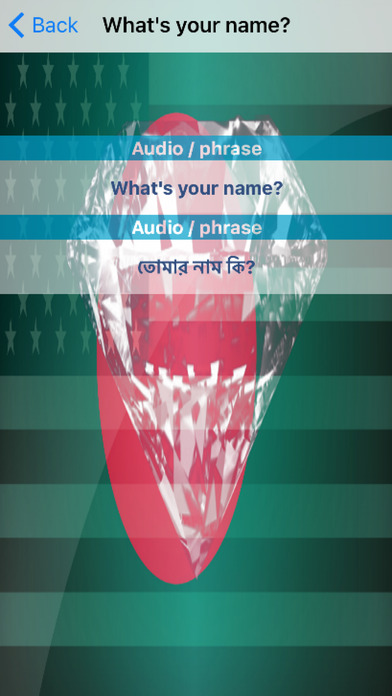 Bengali Phrases Diamond 4K Edition screenshot 3