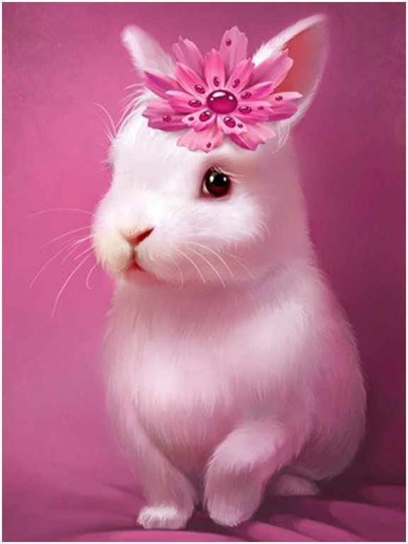 Minimal Pink Piggy Cute Eyes iPhone Wallpapers Free Download