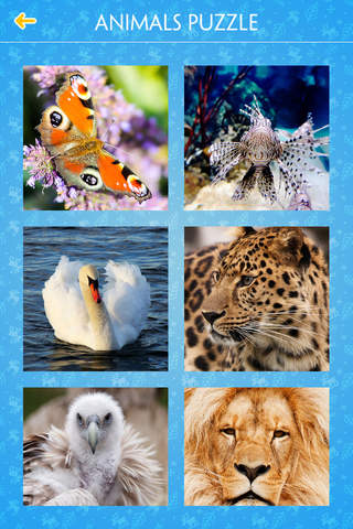 Jigsaw Puzzle - Animals - náhled