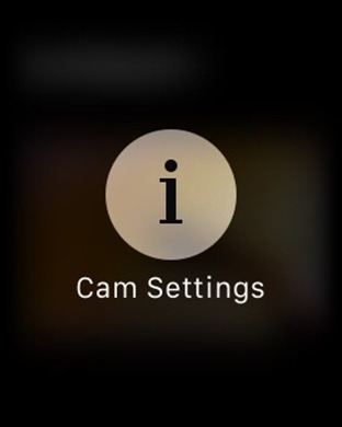IP Cam Pro screenshot 11