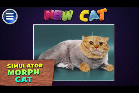 Simulator Morph Cat - náhled