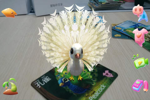 方尼岛.动物 - náhled