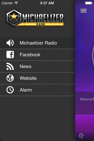 Michaelizer Radio - náhled