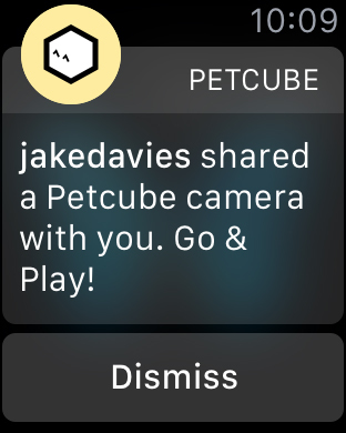 Petcube screenshot 9