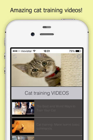 How You Can Train your Cat Free - náhled