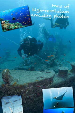 Scuba Diving - Amazing underwater world - náhled