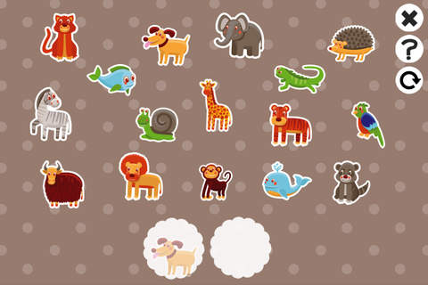 Animals Remember and Memorize! Learning and concen - náhled