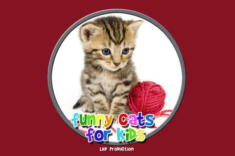 funny cats for kids - free game - náhled