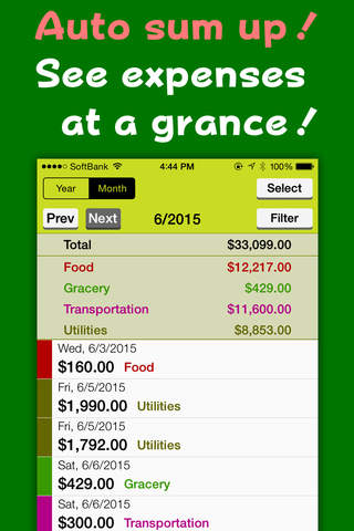 RaCaibo - Easy & Simple Budget book - náhled