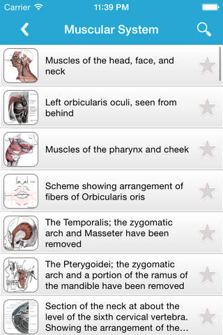 Gray's Anatomy Pro 2014 - náhled
